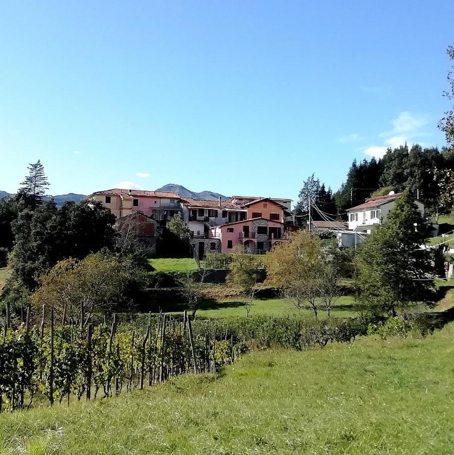 Lissahouse Agriturismo San Pietro Vara Eksteriør billede